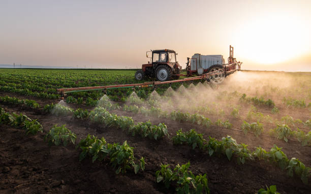 Best Commercial Pest Control Services  in Tracy City, TN