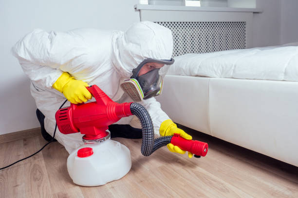 Best Wasp Removal Services  in Tracy City, TN