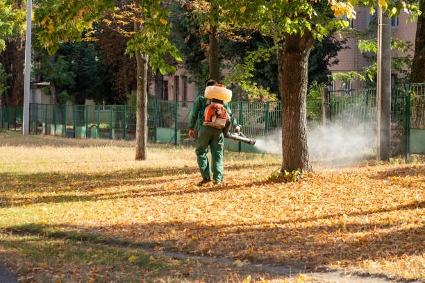 Best Flea Control Services  in Tracy City, TN