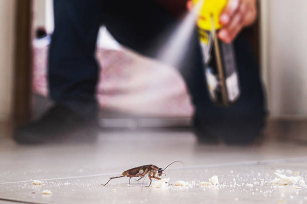 Reliable Tracy City, TN Pest Control Solutions