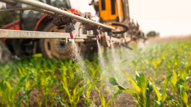 Best Mosquito Control Services  in Tracy City, TN