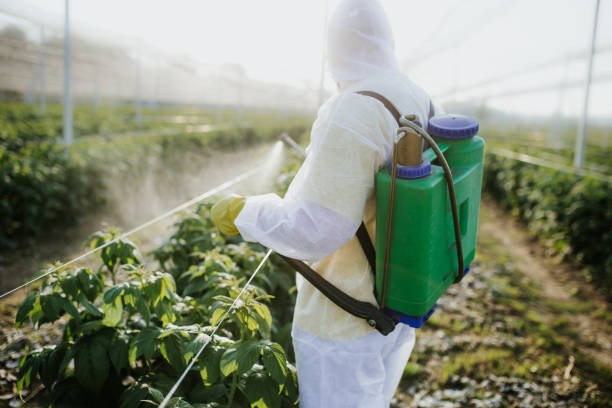  Tracy City, TN Pest Control Pros